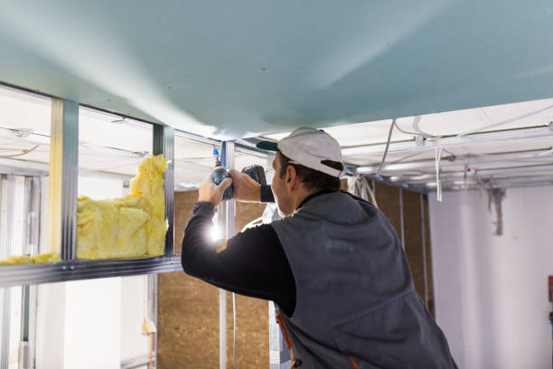 Best Blown-in Insulation  in North St Paul, MN