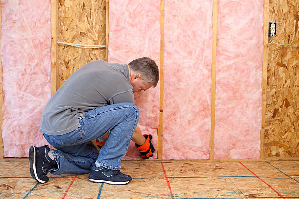 Best Garage Insulation Installation  in North St Paul, MN